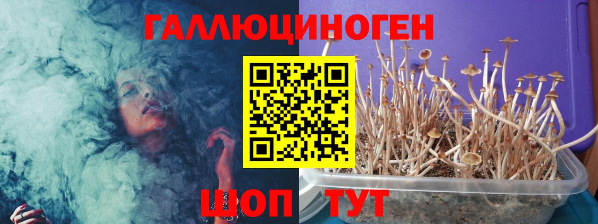Галлюциногенные грибы прущие грибы  Вход с VPN  Майский  Галлюциногенные грибы Cubensis 