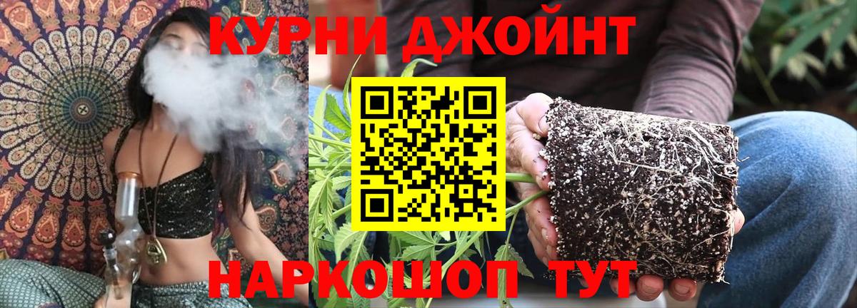 Бошки марихуана OG Kush  Вход с VPN  Шишки марихуана MAZAR  Майский 